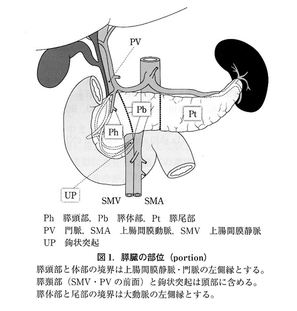 膵癌取扱い規約第7版（2016年）より