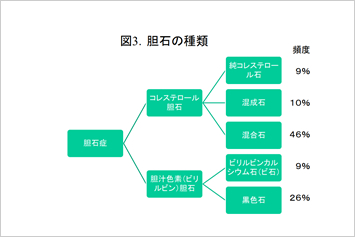 下痢 胆嚢 摘出